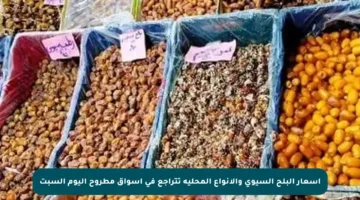 أسعار البلح السيوي والأنواع المحلية تتراجع في أسواق مطروح اليوم السبت